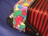 Canarino B system button accordion - multicolour